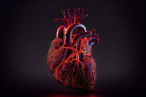 ارتجاع في صمامات القلب